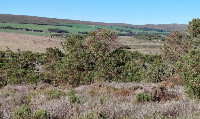 Vacant Land Residential For Sale in Baardskeerdersbos Central with approved building plans.
