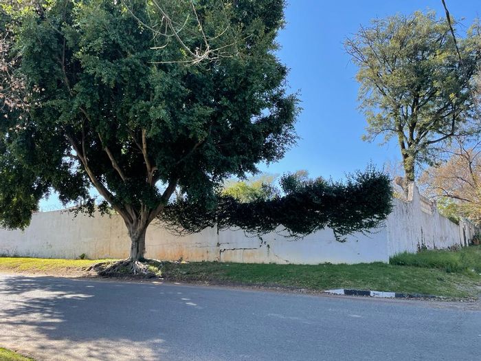 Prime Parkhurst vacant land for sale: corner stand with residential or business potential.