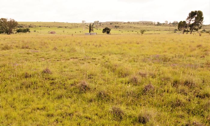 Hobhouse Central: Vacant Land Residential 2974 m² For Sale – Endless Possibilities Await!