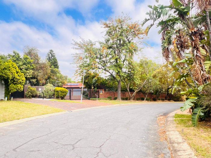 Gallo Manor House To Rent: 4 Bedrooms, Pool, Double Garage, Pet-Friendly.