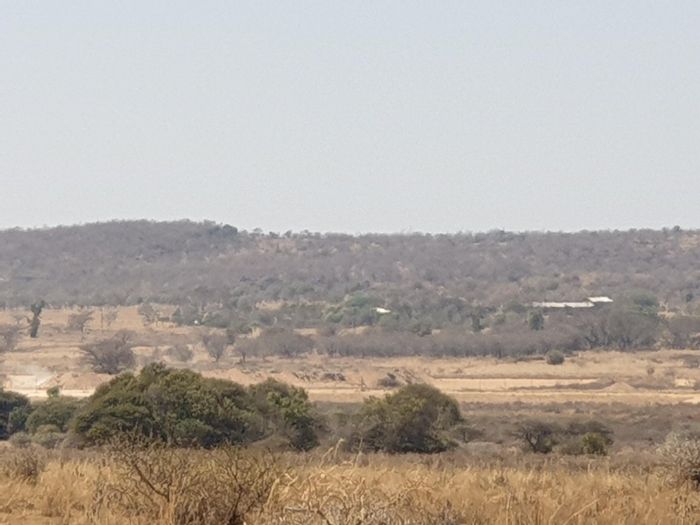 150 ha Farm in Roodeplaat For Sale: Irrigation, grazing land, two houses available.