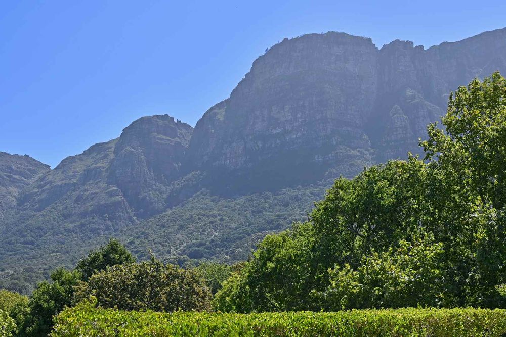 Uninterrupted views.