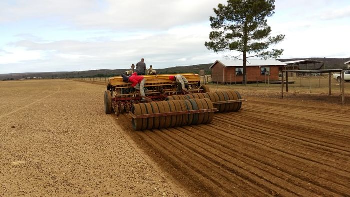 Farm for sale in Riversdale Rural: 43 Ha with house, cottage, and hydroponics.