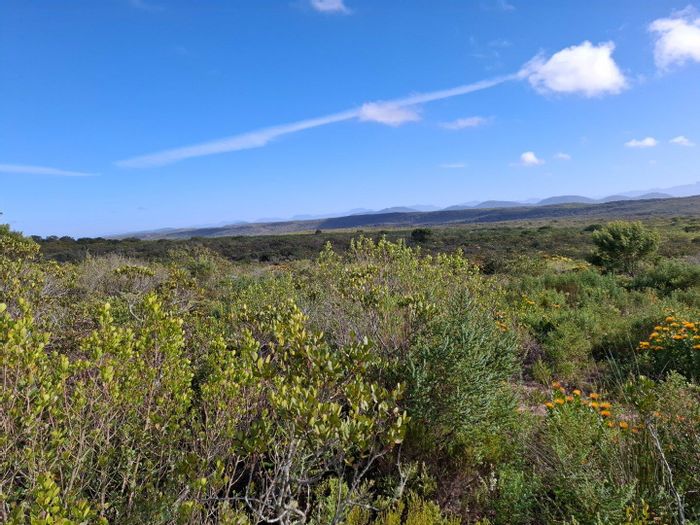 Farm for sale in Albertinia Central: 605 Ha with water rights, livestock potential.