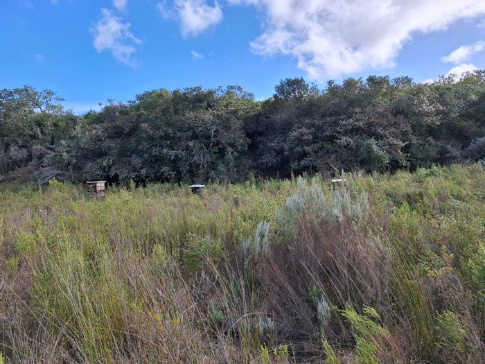 Farm for sale in Stilbaai Rural: 326 Ha, livestock, bee-keeping potential.