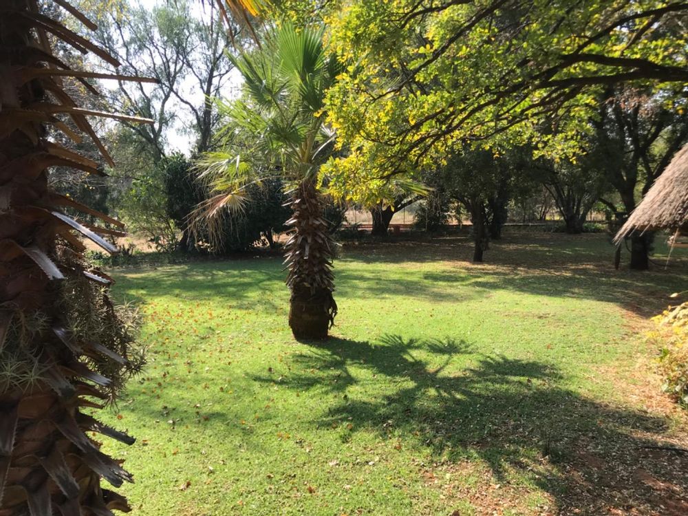 1980 m2 stand with beatiful garden