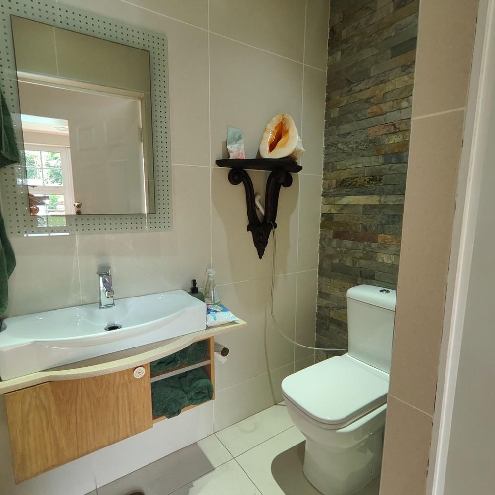 shower toilet and basin