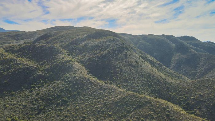 Ladismith Rural Farm For Sale: 49ha mountain retreat with hiking and camping potential.