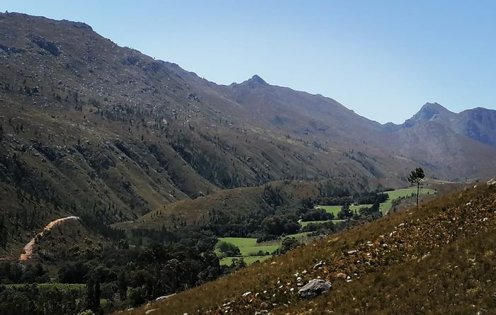 Riversdale Rural Farm For Sale: 911 hectares, irrigation rights, multiple homes, and outbuildings.