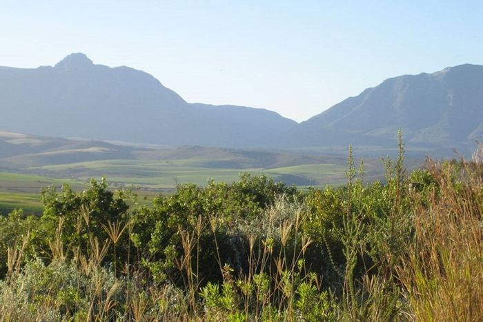 Vacant Land Residential in Heidelberg Central For Sale: Corner lot, pet-friendly, scenic views.