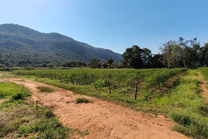 85-hectare farm in Nelspruit Rural with water rights and river access. For Sale.