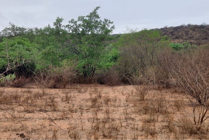 Vacant Land Residential for Sale in Elephant Rock Eco Estate, river access, eco-friendly amenities.