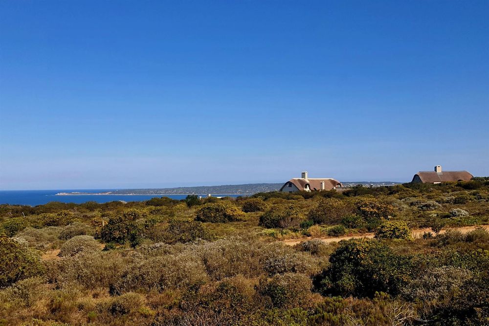 Picture taken from a distance