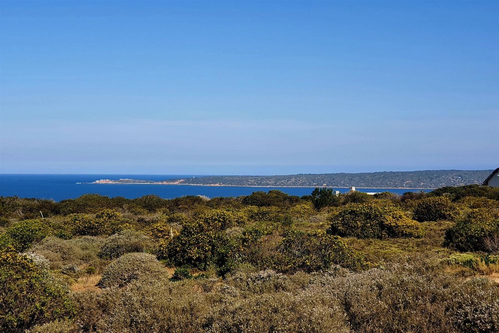 Picture taken from a distance