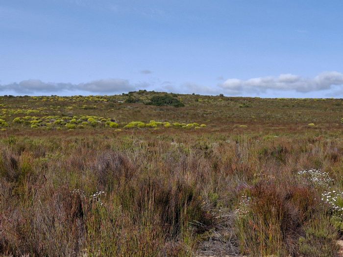 280 Ha farm for sale in Riversdale Rural, ideal for livestock and bee-keeping.