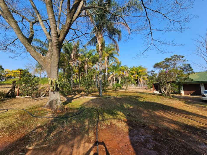 For Sale: 3-Bedroom Farm on 5 Hectares in White River AH with ample space.