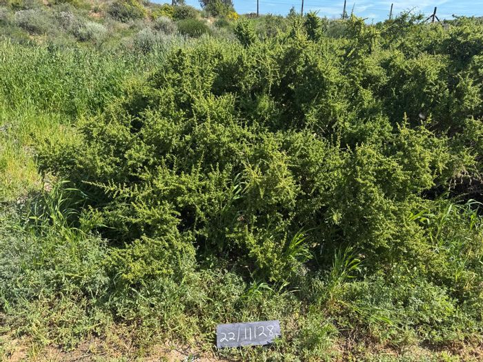 Vacant Land Residential in St Helena Views For Sale – 24-hour security, scenic plots available.