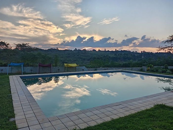 For Sale: White River Rural Small Holding with bar, gas oven, pet-friendly space.