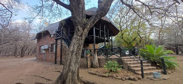 House For Sale in Marloth Park Central: Spacious living, pool, and bushveld views.