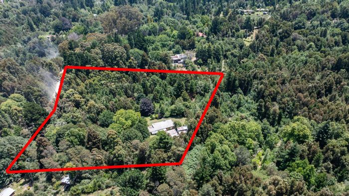 Hogsback Central House For Sale: 4 beds, cottage, pond, garden, and privacy.