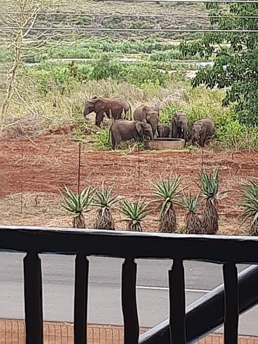 House for Sale in Komatipoort Central: 4 beds, pool, near Kruger Park.