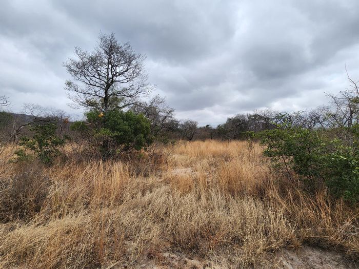 For Sale: 1,170 ha Farm in Tzaneen Rural with game fencing and boreholes.