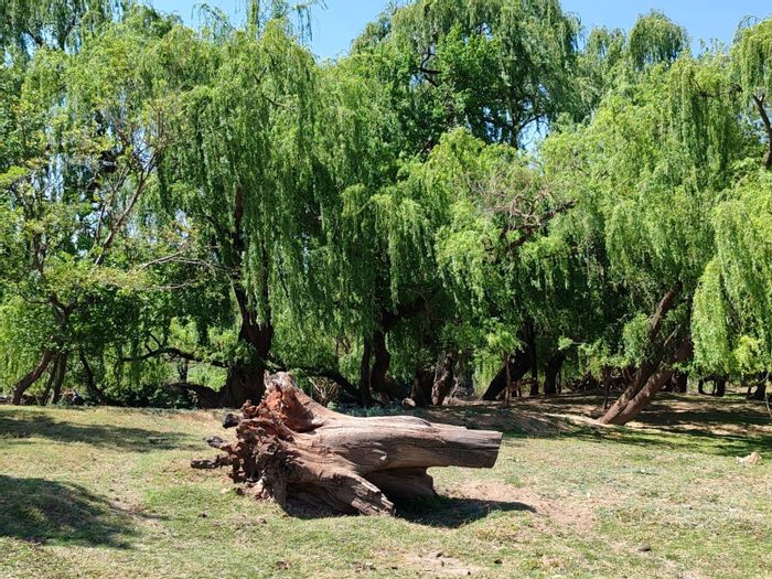 For Sale: Farm in Witkop with 650m river frontage and development potential.