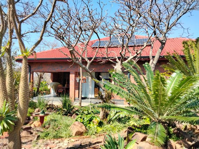 For Sale: House in Modimolle Rural with large veranda, double garage, and wildlife estate.