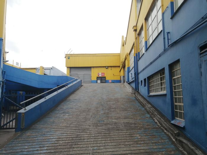 Durban Central House For Sale: Three buildings, light industrial units, automotive tenants.