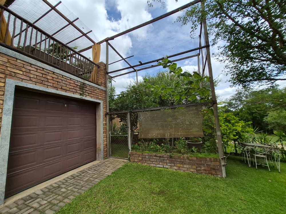 Vegetables and Fruit Garden Enclosed