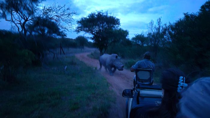 Vacant Land Residential for Sale in Moditlo Nature Reserve with Wildlife Access.