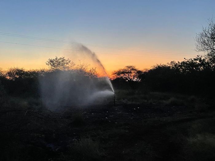 For Sale: 578ha Farm in Musina Central with water supply, accommodation, and hunting facilities.