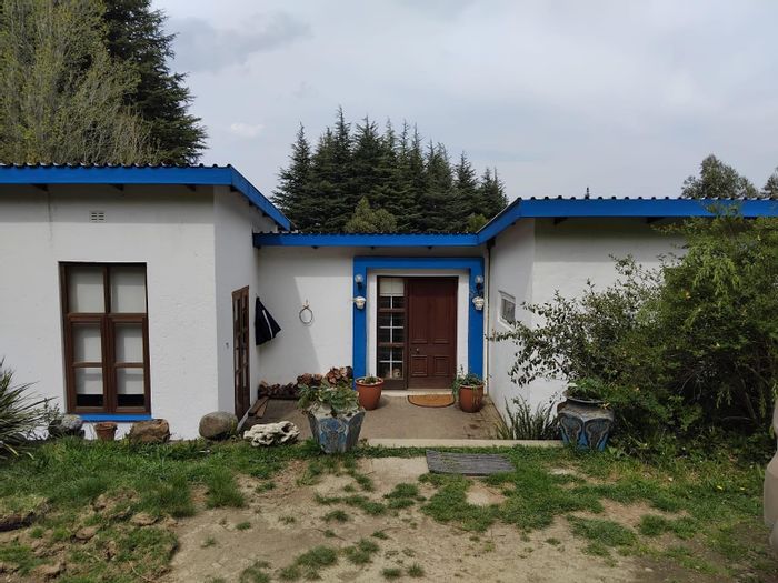 Charming Hogsback Central house for sale with forest views, workspace, and ample storage.