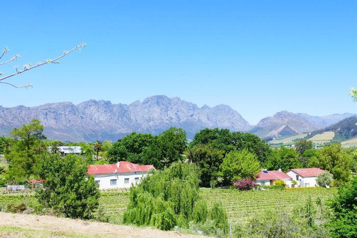 Historic Franschhoek Central small holding for sale with income-generating cottages and vineyards.