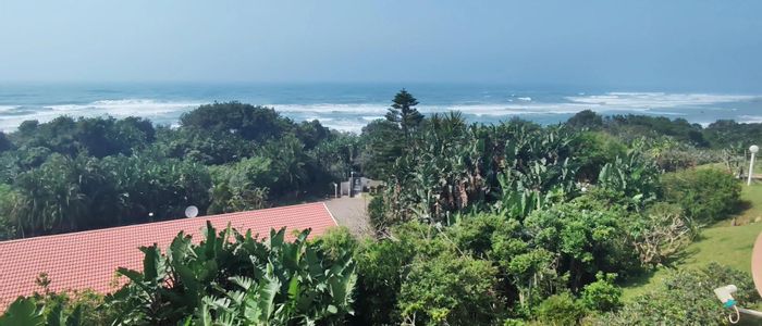 For Sale: Beachfront Apartment in Palm Beach with pool, direct access, and income potential.