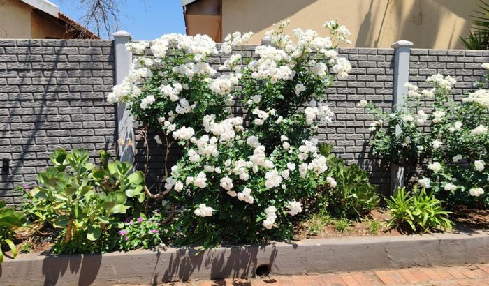 Kookrus Townhouse For Sale: Private garden, open-plan living, pet-friendly.