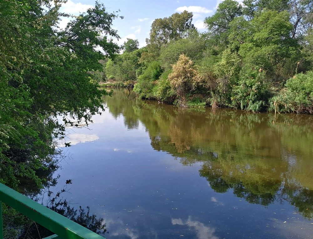 Vaal river at lapa