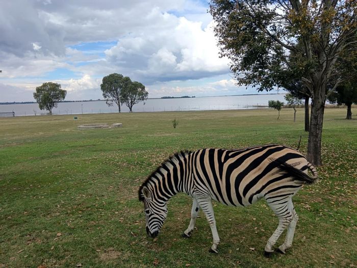 For Sale: Retirement Village in Oranjeville Central with pool, bar, and spacious living.