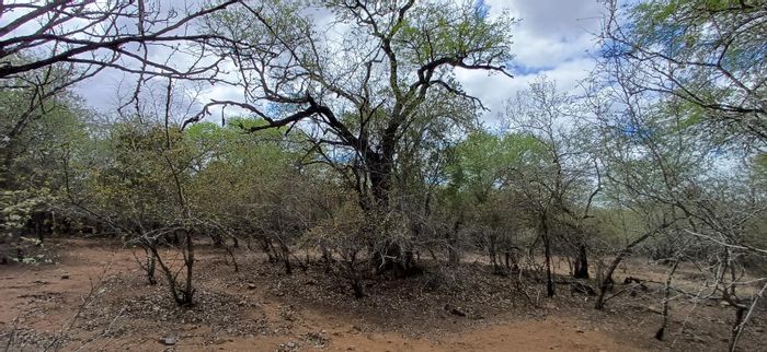 Vacant Land Residential in Marloth Park Central for Sale - 3041 sqm, wildlife haven.