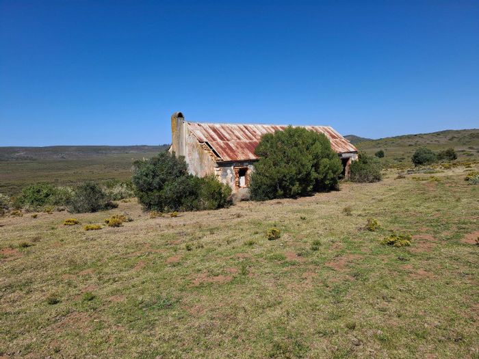 Farm for sale in Albertinia Central: livestock, bee-keeping, water facilities, and access road.