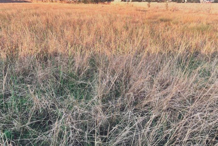 1 Hectare Vacant Land For Sale in Springvalley - Ideal for Development Opportunities.