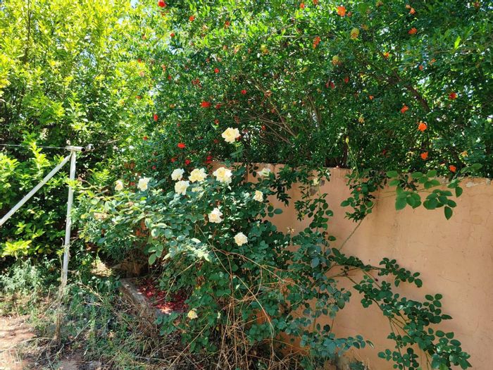 Henley On Klip House For Sale: 3 Bedrooms, Pool, Security, Expandable Land.