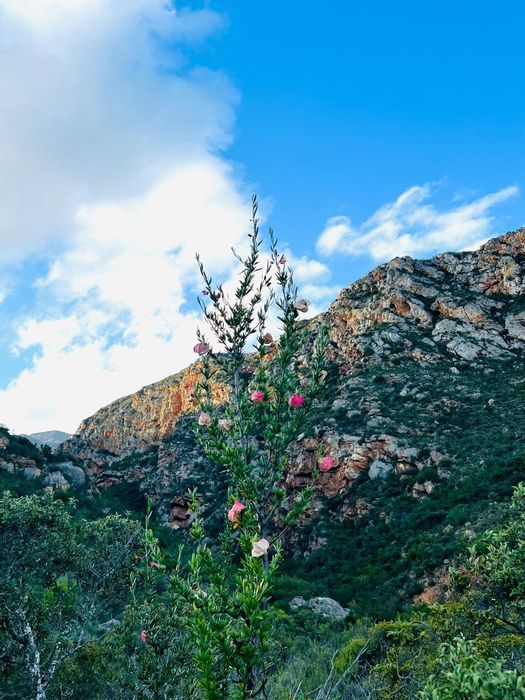 Ladismith Rural: For Sale - Vacant Land Commercial with game reserve access and building rights.