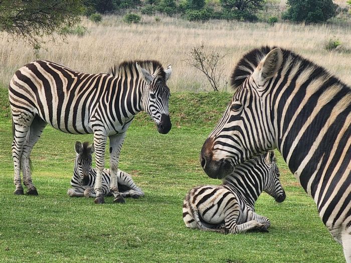 For Sale: Vacant Land Residential in Oranjeville Central, 2.2 Hectares with Waterfront Access.