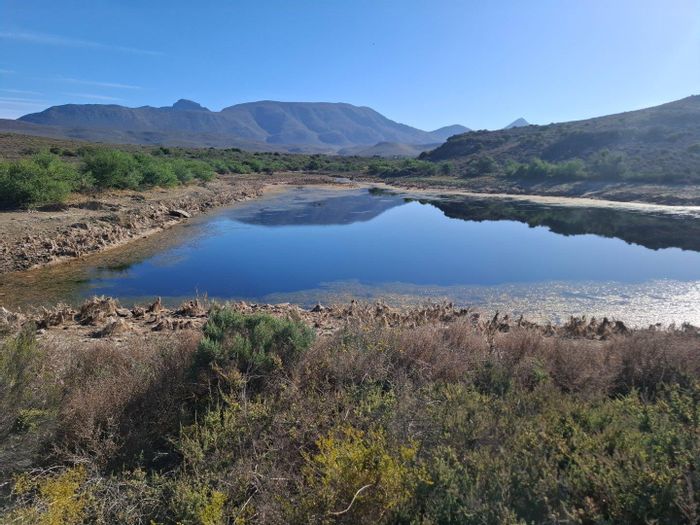 For Sale: Riversdale Rural Farm, 630 Ha with livestock, game farming potential, borehole.