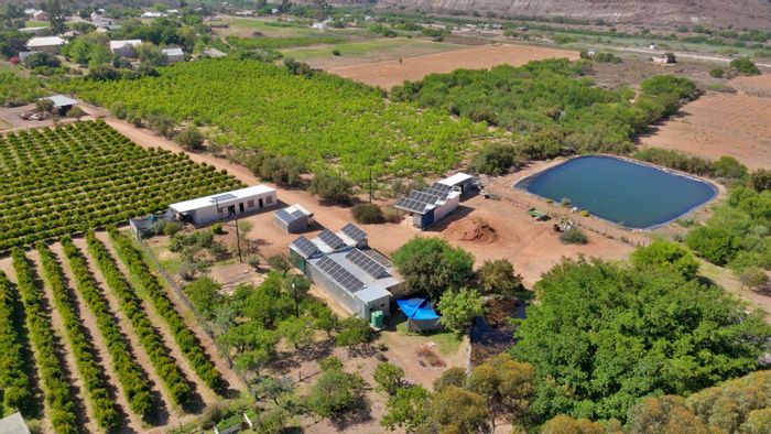For Sale: Productive 8 Ha Farm with Guest Houses and Processing Facilities in Van Wyksdorp.