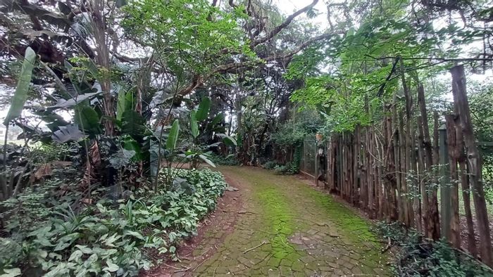 Spacious 3-bedroom house with pool, flatlet, and rich academic history in Louis Trichardt Rural. For Sale.