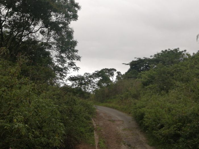 Vacant Residential Land for Sale in Shallcross, 1624 m² near train tracks.