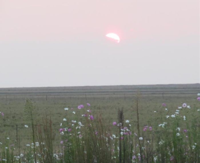 Vacant Land Residential in Oranjeville Central For Sale: 1,800 m² near Vaal River.