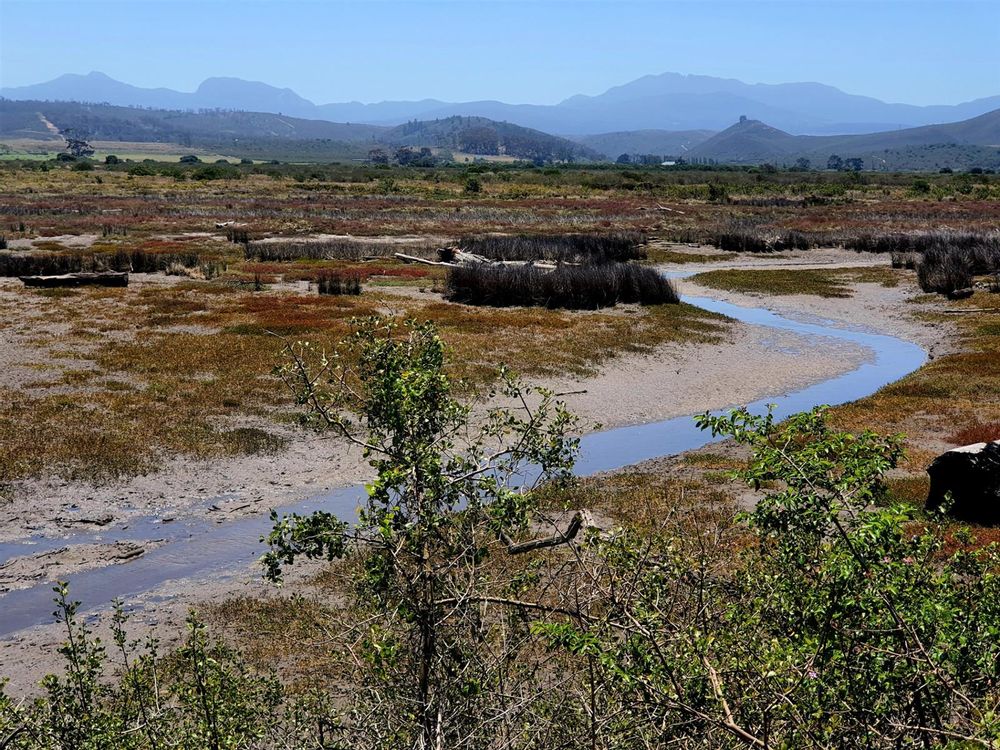 River view @ low tide